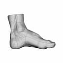 Scanned Foot - Downloadable CAD Representation_90_0_degree_snapshot