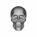 Human Skull To Scale. | 3D Engineering Design File_0_0_degree_snapshot