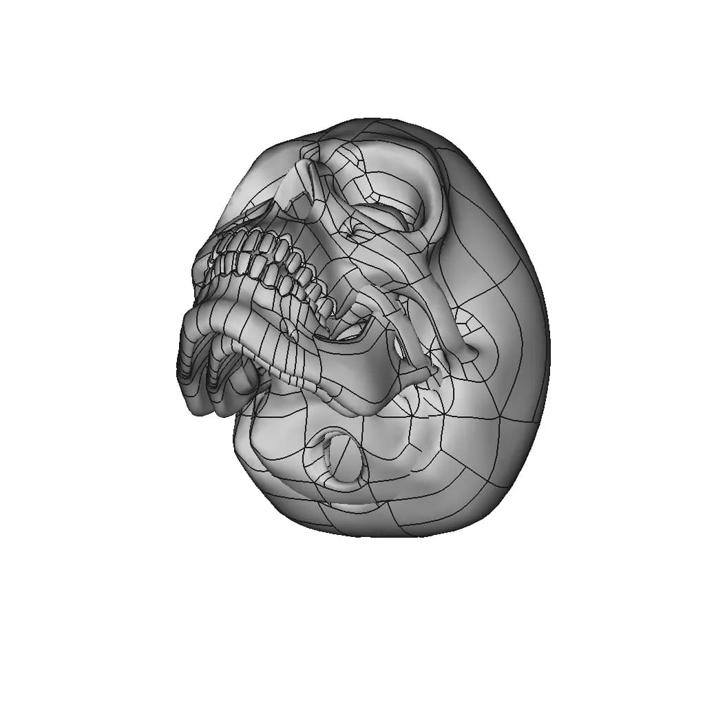 Human Skull To Scale. | 3D Engineering Design File_60_30_degree_snapshot