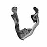 Lower Jaw Prosthesis - Downloadable CAD Representation_60_30_degree_snapshot