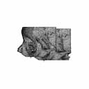 Eye Orbit Prosthetic | High-Quality CAD Model_0_90_degree_snapshot