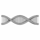 Dna 3D Model In Solidworks - Standard Mechanical Component_0_0_degree_snapshot