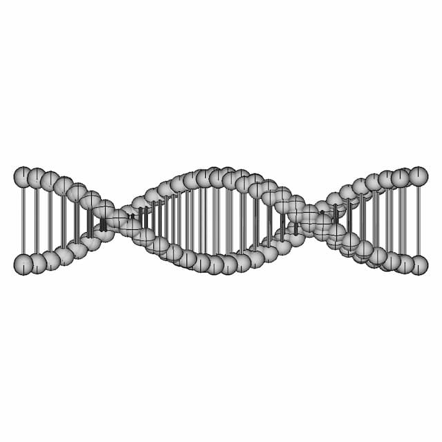 Dna 3D Model In Solidworks - Standard Mechanical Component