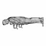 Male Surgical Doctor | High-Quality CAD Model_0_90_degree_snapshot