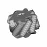 Mecanum Wheel Basic Structure - Standard Mechanical Component_60_30_degree_snapshot