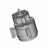 Brushed 36V Dc Unite Motor | High-Quality CAD Model_60_30_degree_snapshot