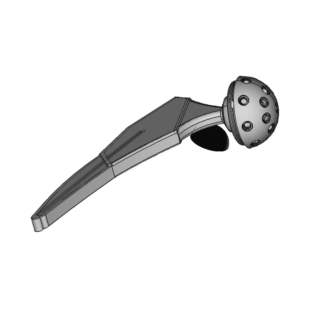 Human Hip Prosthesis – Full-Scale, High-Fidelity 3D Model | 3D Engineering Design File_60_30_degree_snapshot