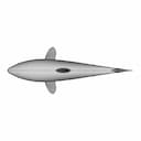 Great White Shark Model | 3D Engineering Design File_270_0_degree_snapshot