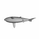 Great White Shark Model | 3D Engineering Design File_60_30_degree_snapshot