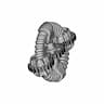 Spiral Coil Gear - Standard Mechanical Component_60_30_degree_snapshot