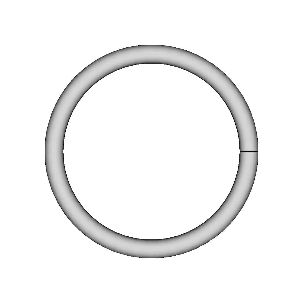 Trapped Ring Puzzle | High-Quality CAD Model_0_0_degree_snapshot