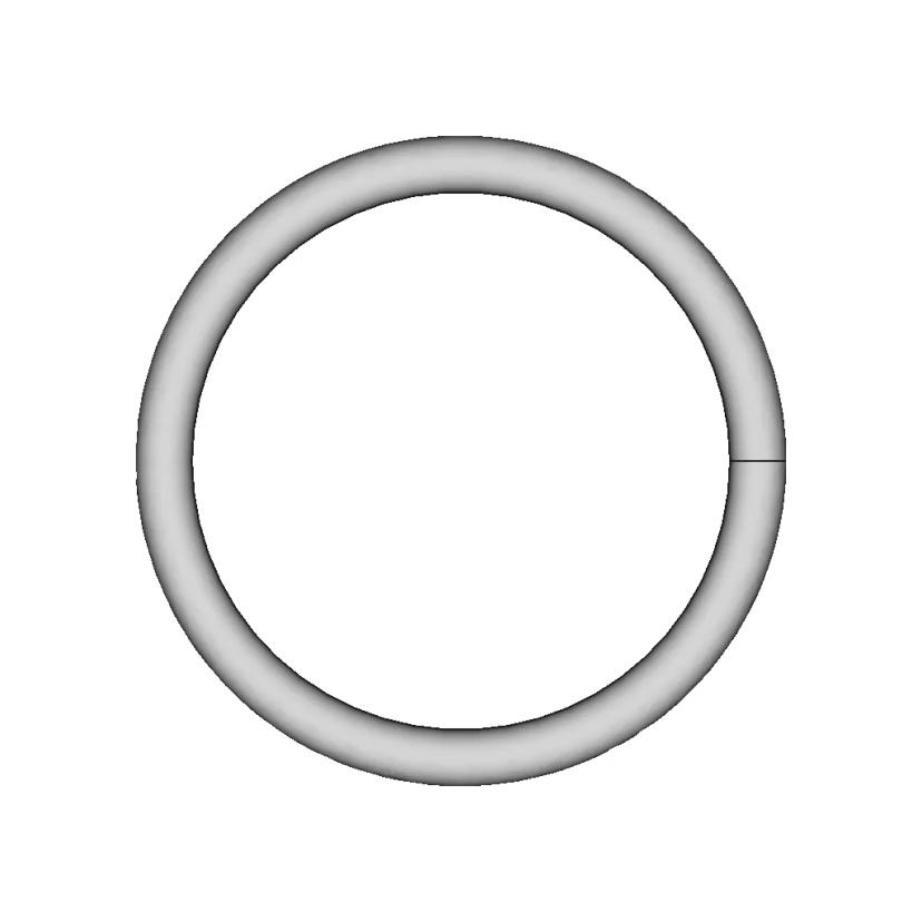 Trapped Ring Puzzle | High-Quality CAD Model