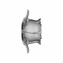 Rose - Standard Mechanical Component_0_270_degree_snapshot