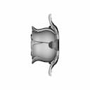 Rose - Standard Mechanical Component_0_90_degree_snapshot