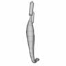 Minarelli Exhaust 70 Racing | 3D Engineering Design File_60_30_degree_snapshot