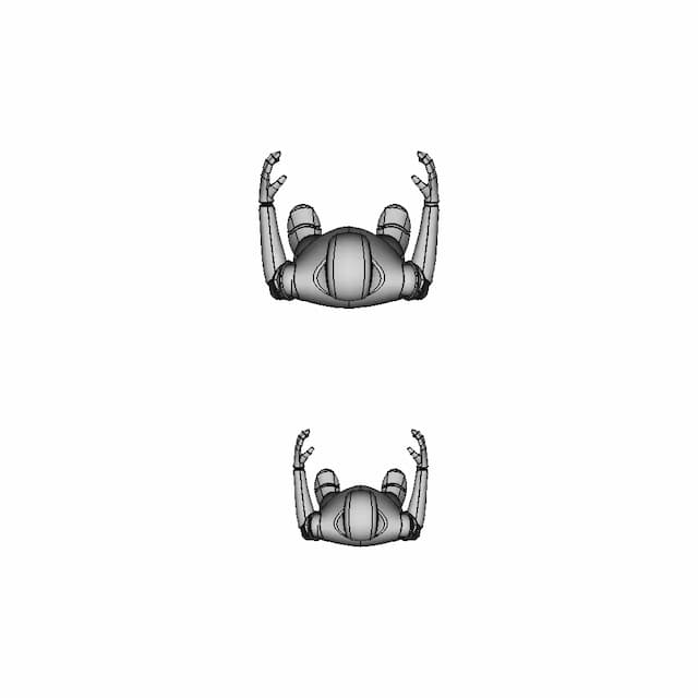 Human | High-Quality CAD Model