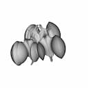 Lobed Organic Shape | High-Quality CAD Model_60_30_degree_snapshot