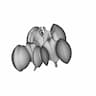 Lobed Organic Shape | High-Quality CAD Model_60_30_degree_snapshot