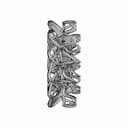 Organic Ring Design 09 - Standard Mechanical Component_0_90_degree_snapshot