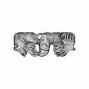 Organic Ring Design 08 | High-Quality CAD Model_270_0_degree_snapshot