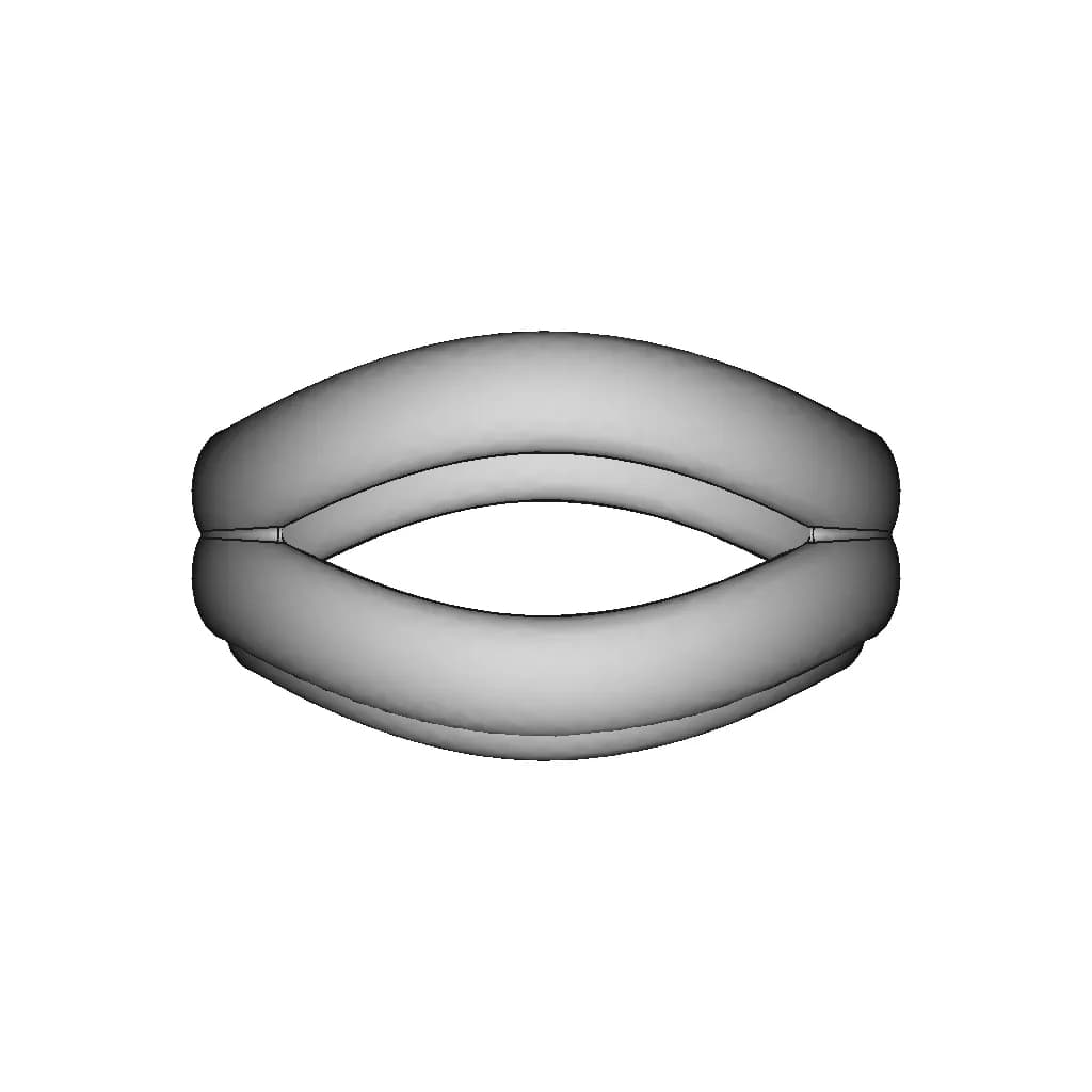 Organic Ring 3 | 3D Engineering Design File_0_270_degree_snapshot