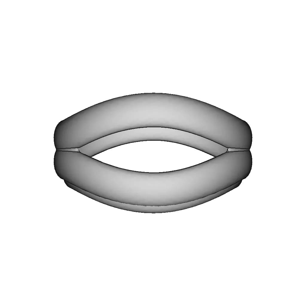 Organic Ring 3 | 3D Engineering Design File_0_90_degree_snapshot