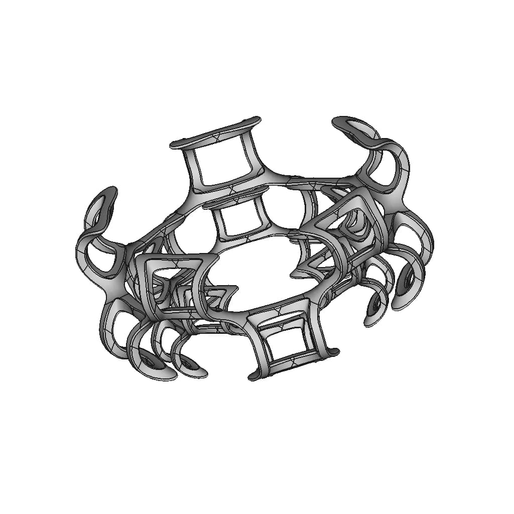Organic Ring Design 04B | High-Quality CAD Model_60_30_degree_snapshot