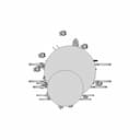 I Am The Thorax. I Peak For The Bee - Standard Mechanical Component_90_0_degree_snapshot