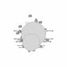 I Am The Thorax. I Peak For The Bee - Standard Mechanical Component_90_0_degree_snapshot