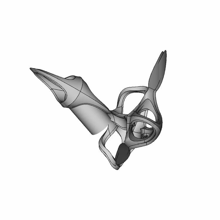 Emergent Organic Shape 01 | High-Quality CAD Model