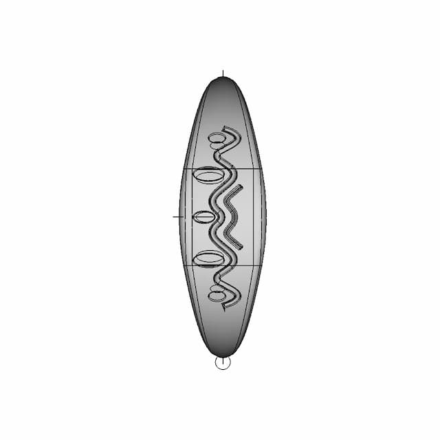 W-Ring - Standard Mechanical Component