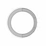 W-Ring - Standard Mechanical Component_0_270_degree_snapshot