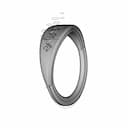 W-Ring - Standard Mechanical Component_60_30_degree_snapshot