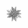 Snowflake | 3D Engineering Design File_60_30_degree_snapshot