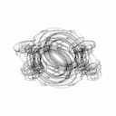 Pipe Coupling 1 1/2'' (Dn40) 450Psi (31 Bar) Aisi316 - Standard Mechanical Component_60_30_degree_snapshot