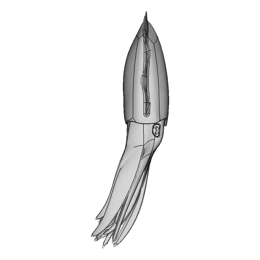 Cuttlefish - Downloadable CAD Representation_0_270_degree_snapshot