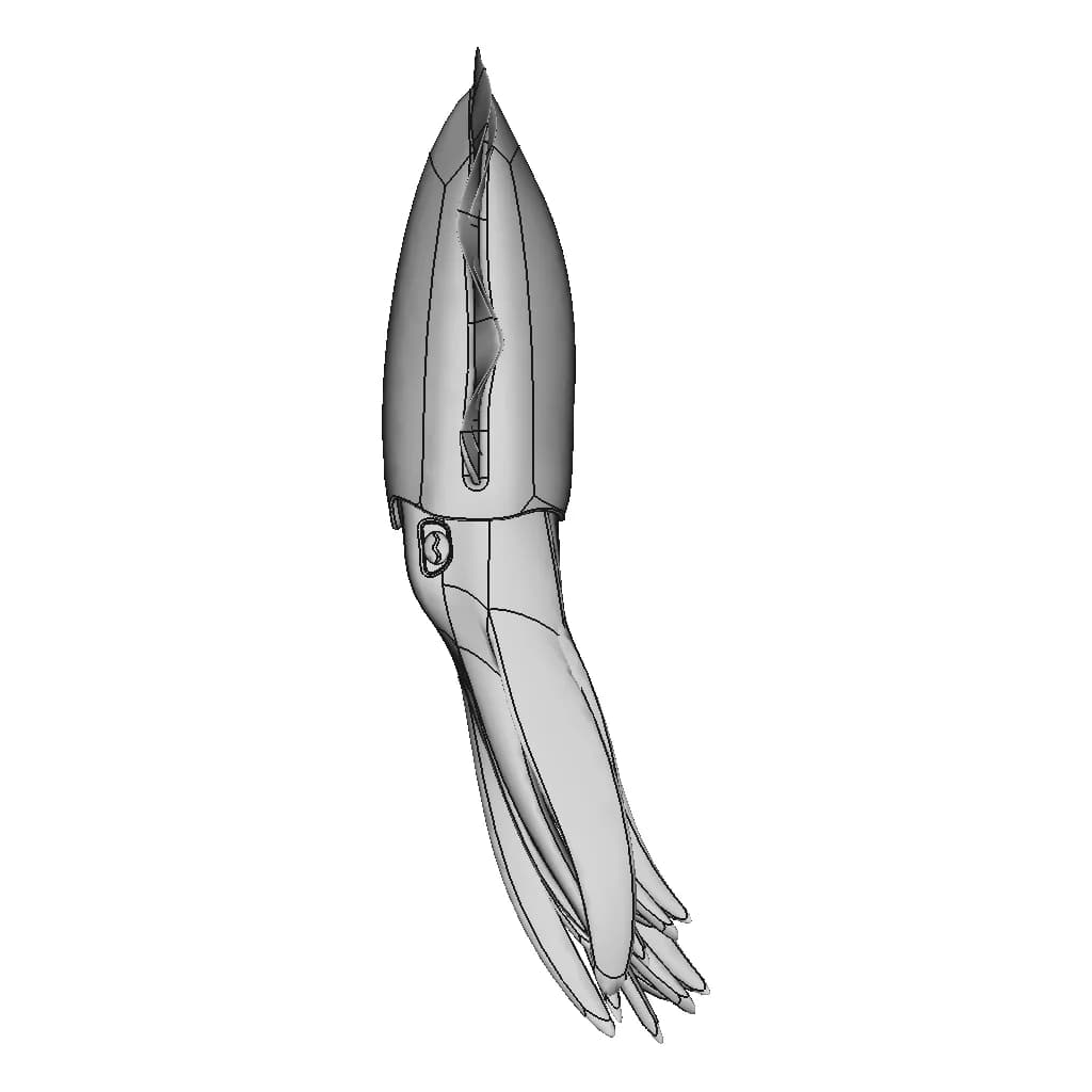 Cuttlefish - Downloadable CAD Representation_0_90_degree_snapshot