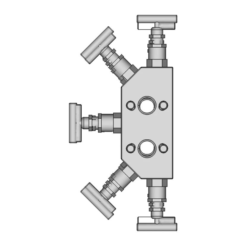 5 Valve Manifold 3D 1 2 Connections 1 | CAD Model for Chemical Industry