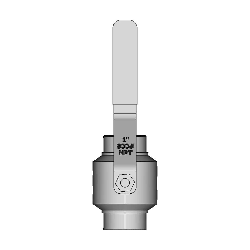 Ball Valve Dn 25 800 Npt 1 | CAD Model for Energy Systems_0_0_degree_snapshot