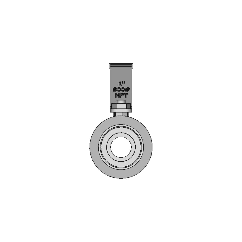 Ball Valve Dn 25 800 Npt 1 | CAD Model for Energy Systems_90_0_degree_snapshot