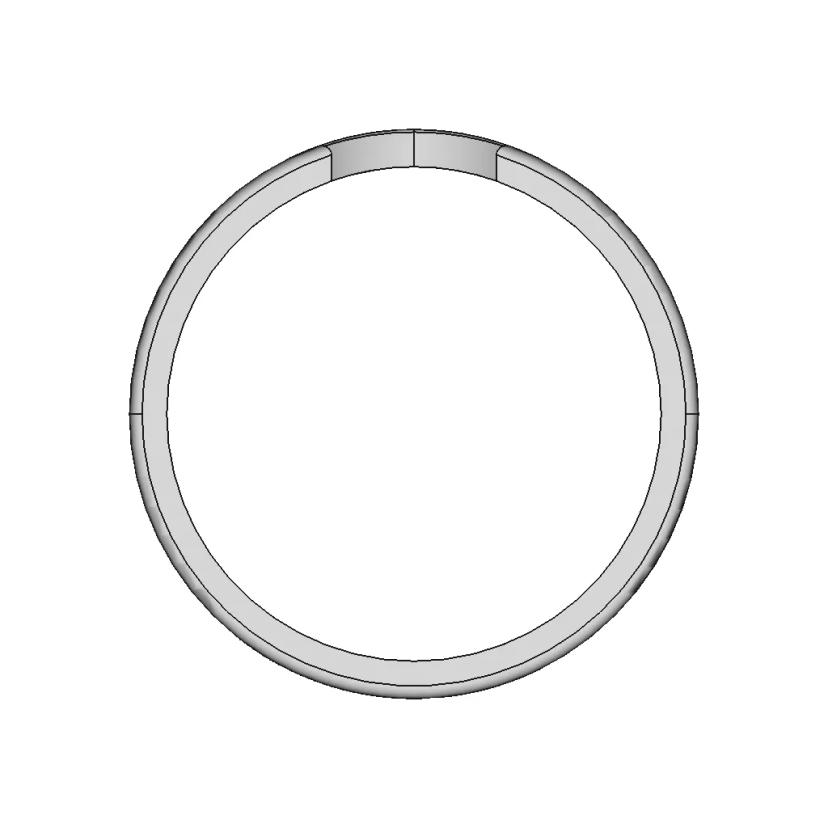 The Ring 7 | Professional CAD Design