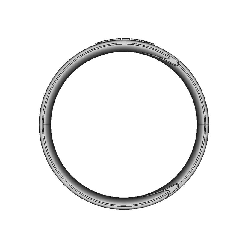 Ring New 1 | Professional CAD Design