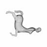 Parametric Ring 1 | Professional CAD Design_0_270_degree_snapshot