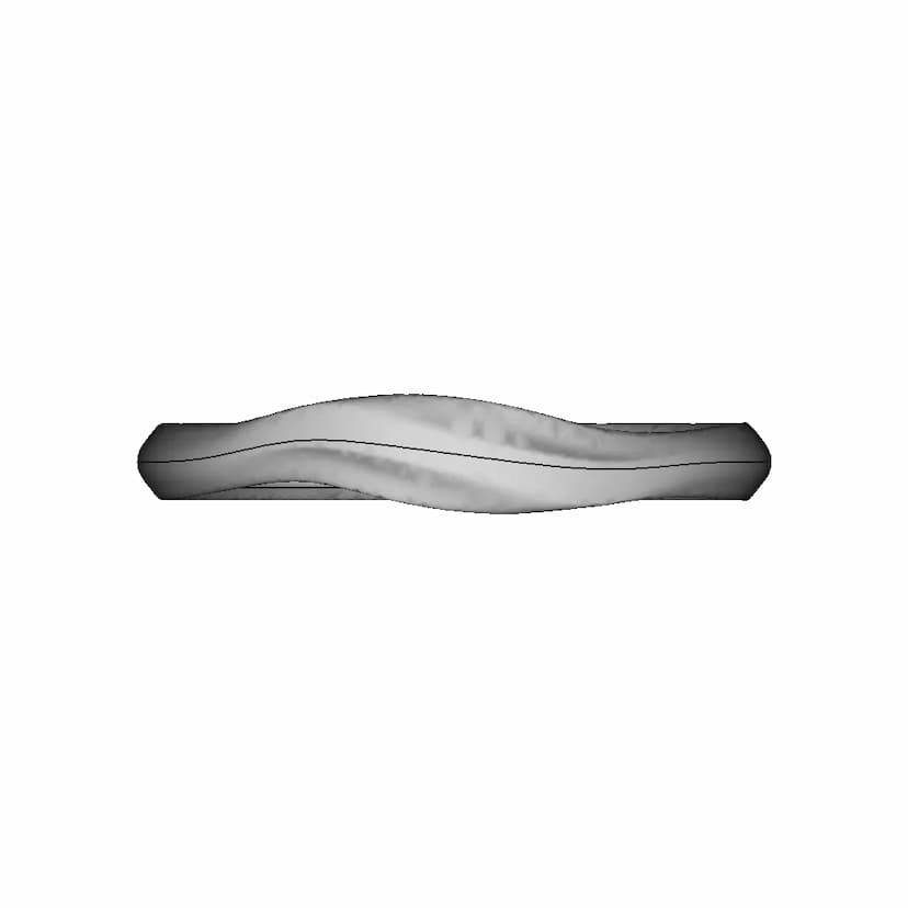 Platinum Ring 3 | Professional CAD Design
