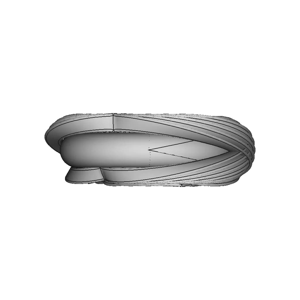 Torus 2 1 | Professional CAD Design_0_90_degree_snapshot