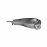 Ornamen Ukir 1 | Professional CAD Design_60_30_degree_snapshot