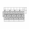 Avocado Fruit 2 | Professional CAD Design_90_0_degree_snapshot