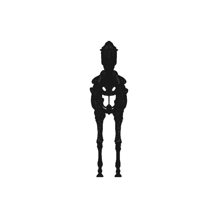 Detailed Horse Skeleton Model with Bone-like Mechanical Properties