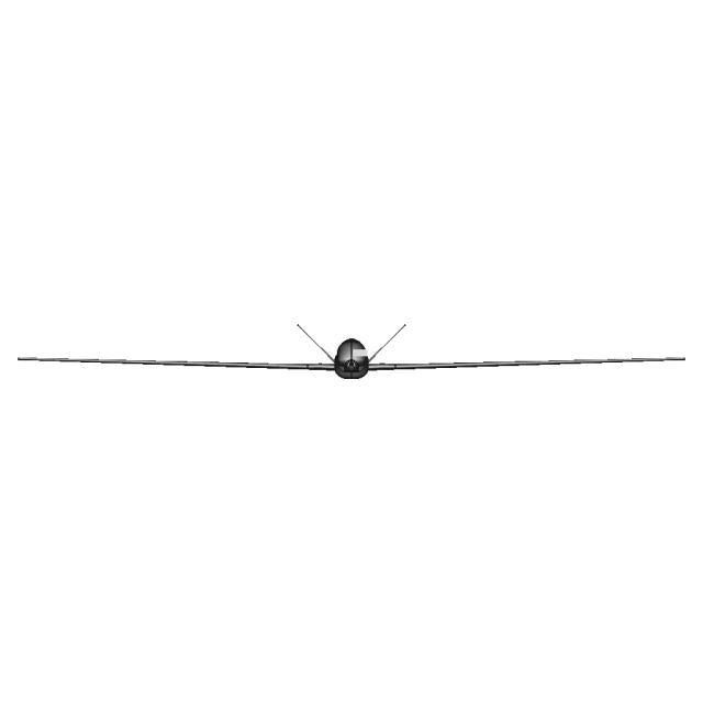 RQ-4 Global Hawk Model 0.7 m Length 2 m Wingspan