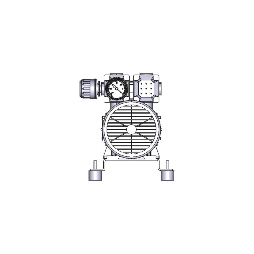 RV-40V Vacuum Pump